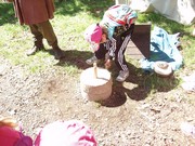 Celodenní výlet na Bezděz title=